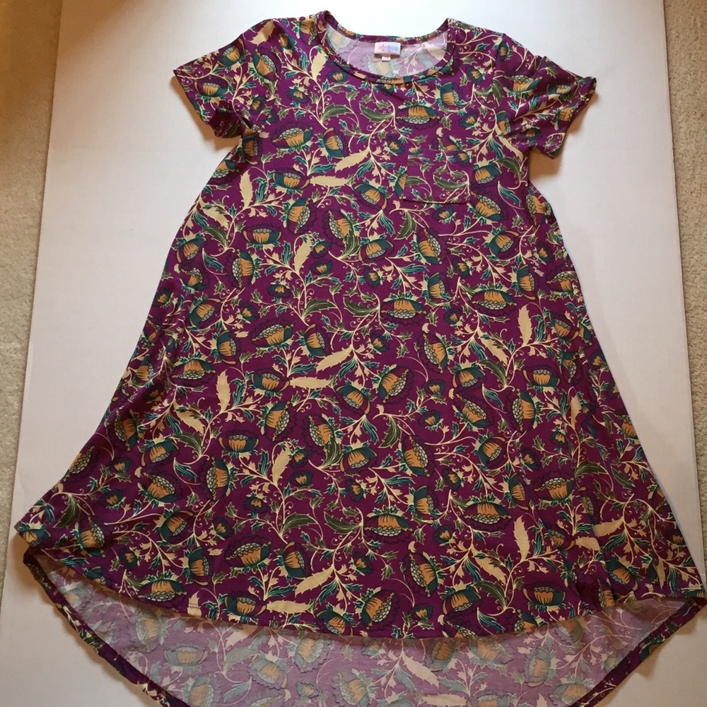 Like new!  Carly swing dress